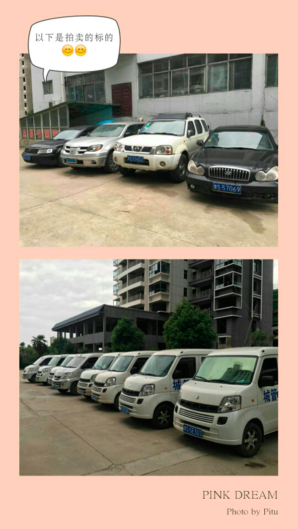 息縣公務用車及執法執勤車拍賣公告