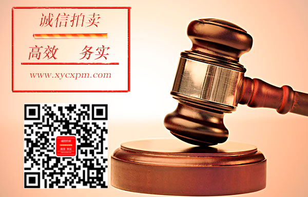 省拍賣協會馬會長蒞臨信陽誠信拍賣公司調研指導
